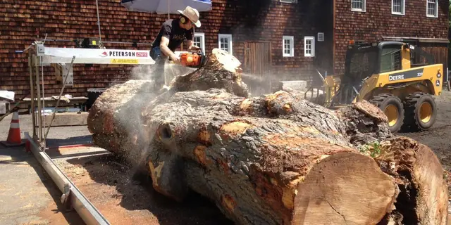 Ted Esselstyn on a salvaged urban log